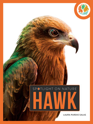 cover image of Hawk